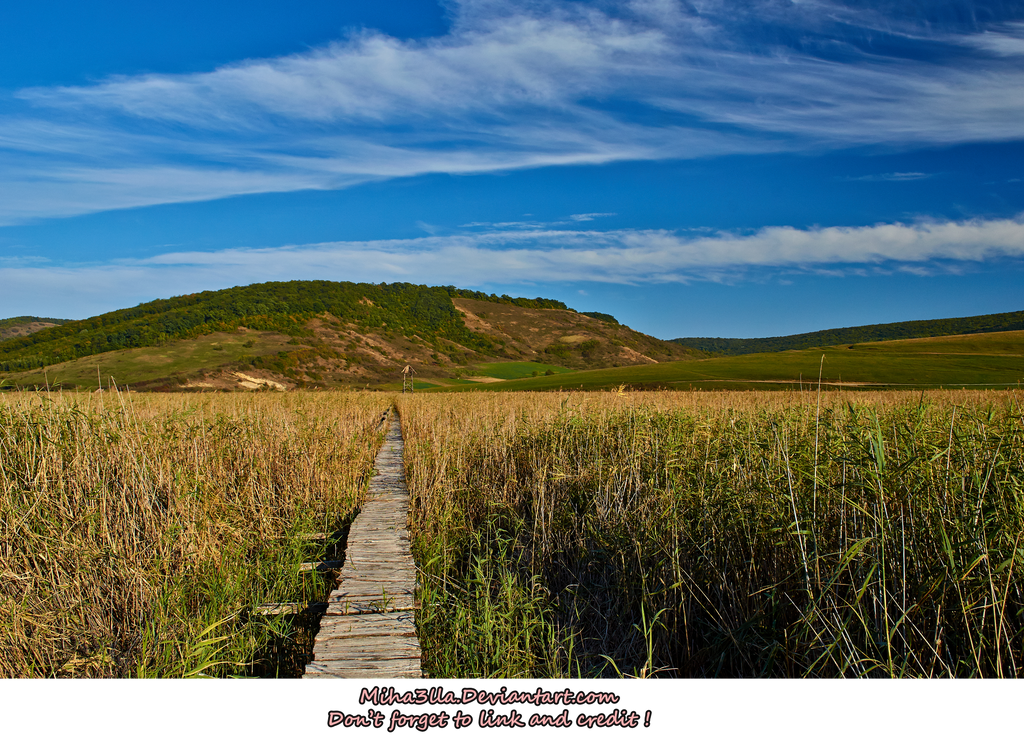 Miha3lla field path