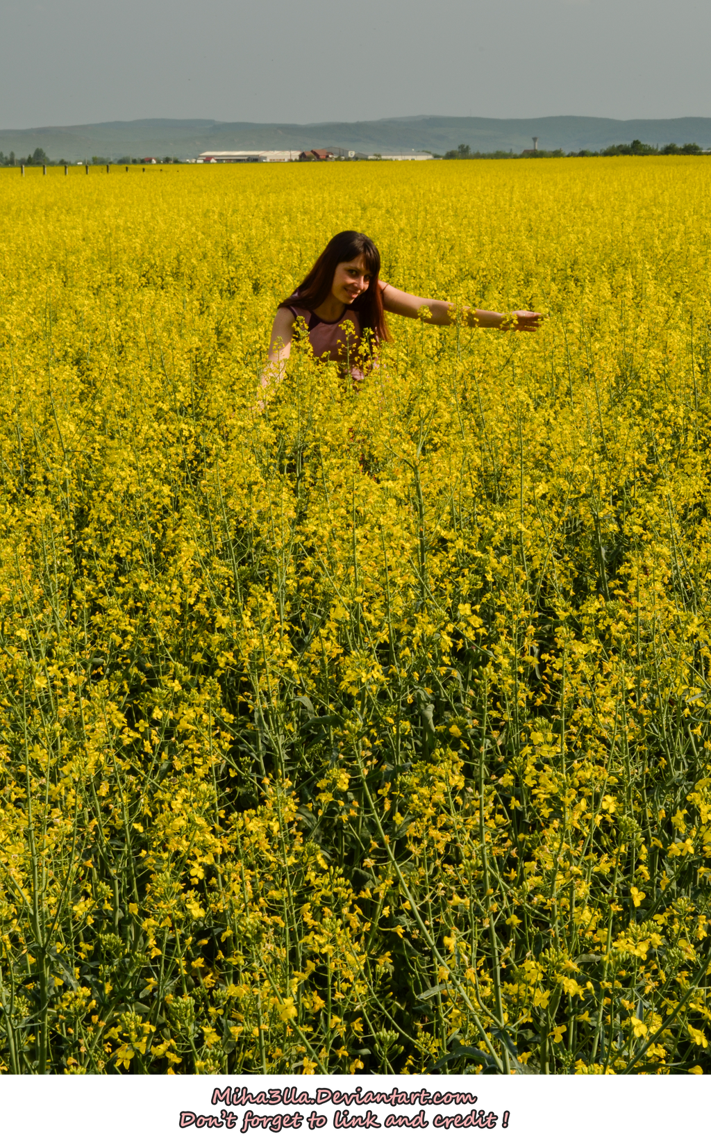 Miha3lla model in yellow flower field  (5)