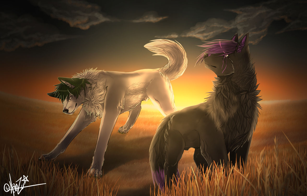 Let's make a new tomorrow today