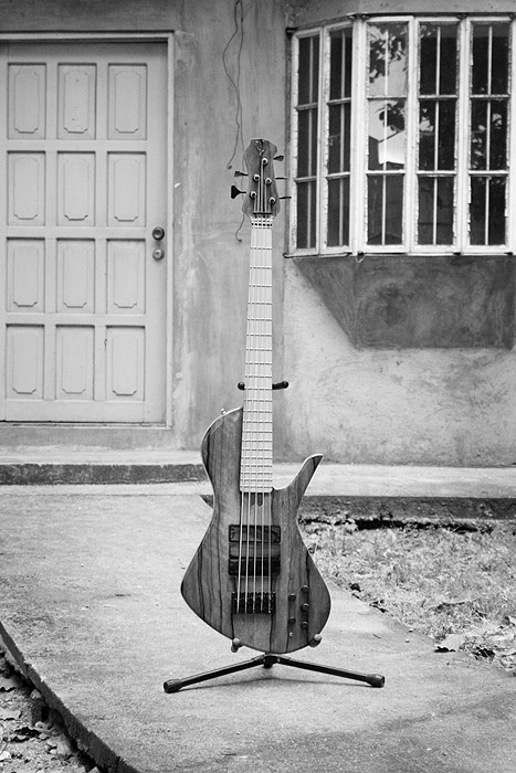 Elegee custom 5 string bass