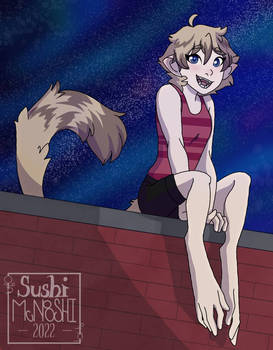 Star Gazing on a Roof