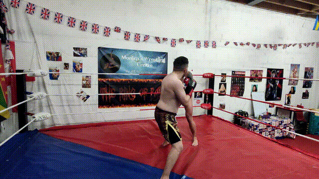 Explore the Best Mixed_boxing Art | DeviantArt