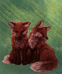 Fox cubs