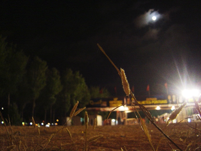 Noites do Parque.