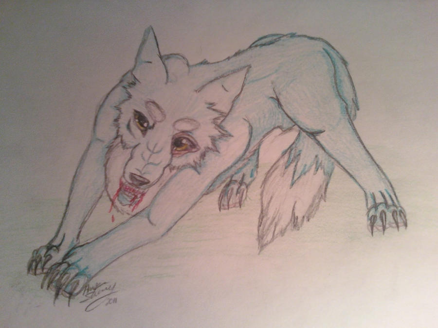 Turquoise Wolves Turquoise wolf by Shockley23 on DeviantArt
