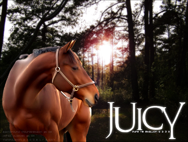 Juicy for SpiffyHorse