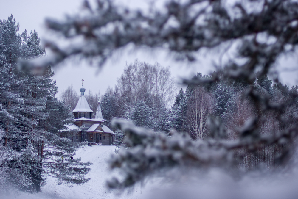 Forest church