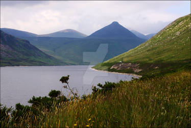 The Silent Valley I