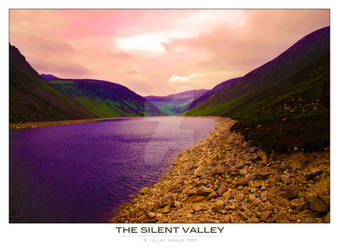 The Silent Valley III