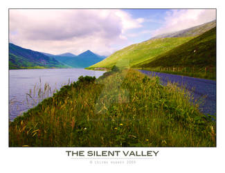 The Silent Valley V