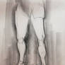 Limb Study -leg-