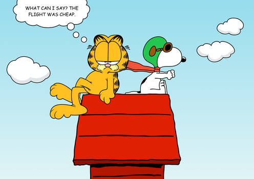 Garfield's Flight