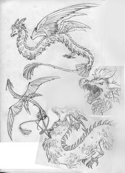 character design dragon