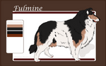 FFR Fulmine by ForeignFrontierRanch