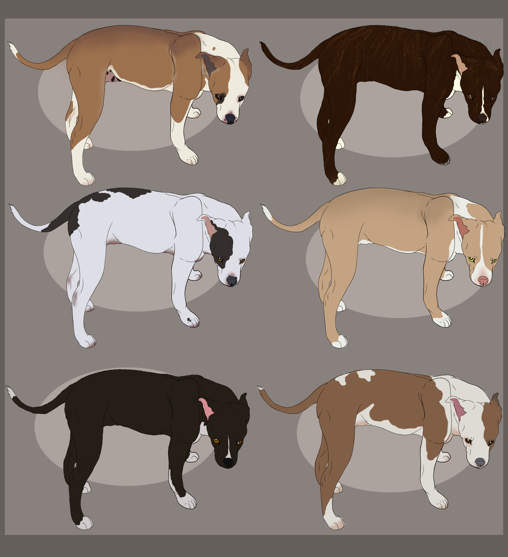 Pitbulls adoptable - CLOSED