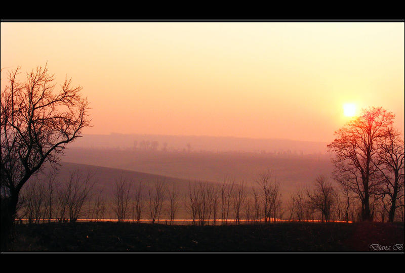 Gates of Dawn