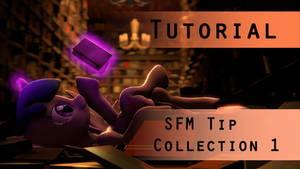 SFM Tutorial: Tip Collection 1