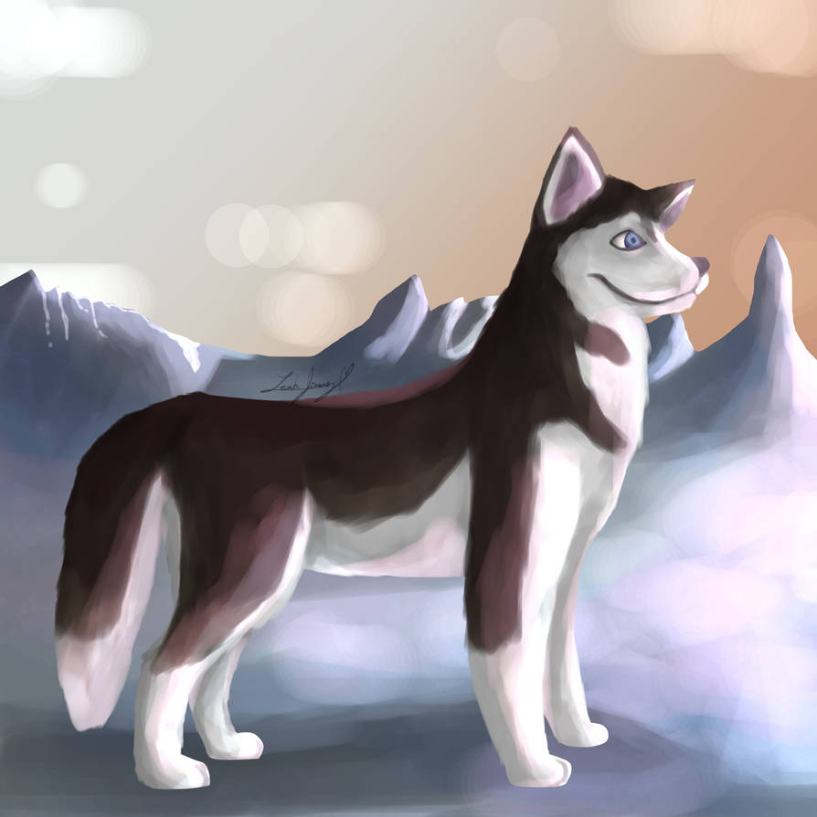 Husky Deviantart ~ Husky ~ by PusheenCC on DeviantArt