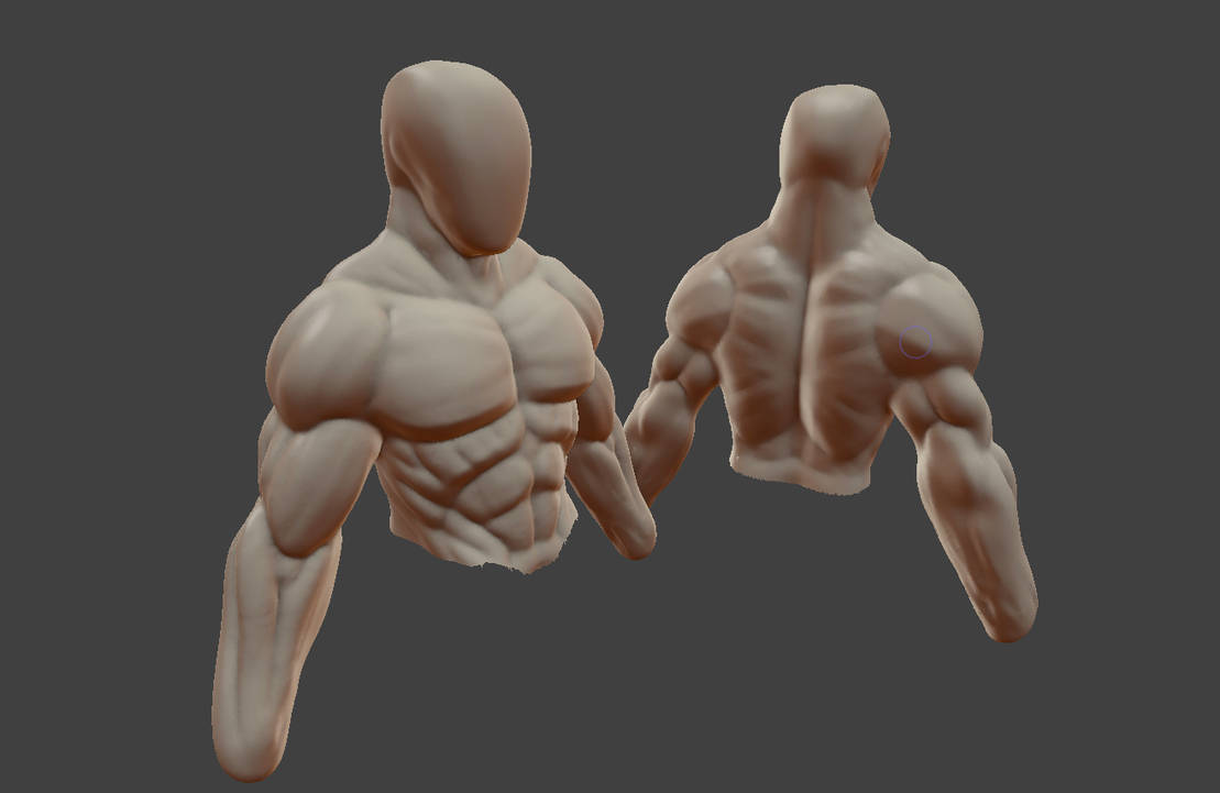 Funky Torso Torso 27519 by JasonHall on DeviantArt