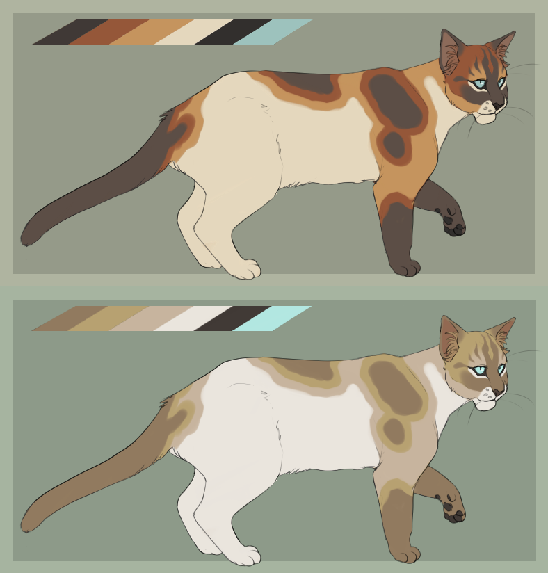 Cat adoptable CLOSED