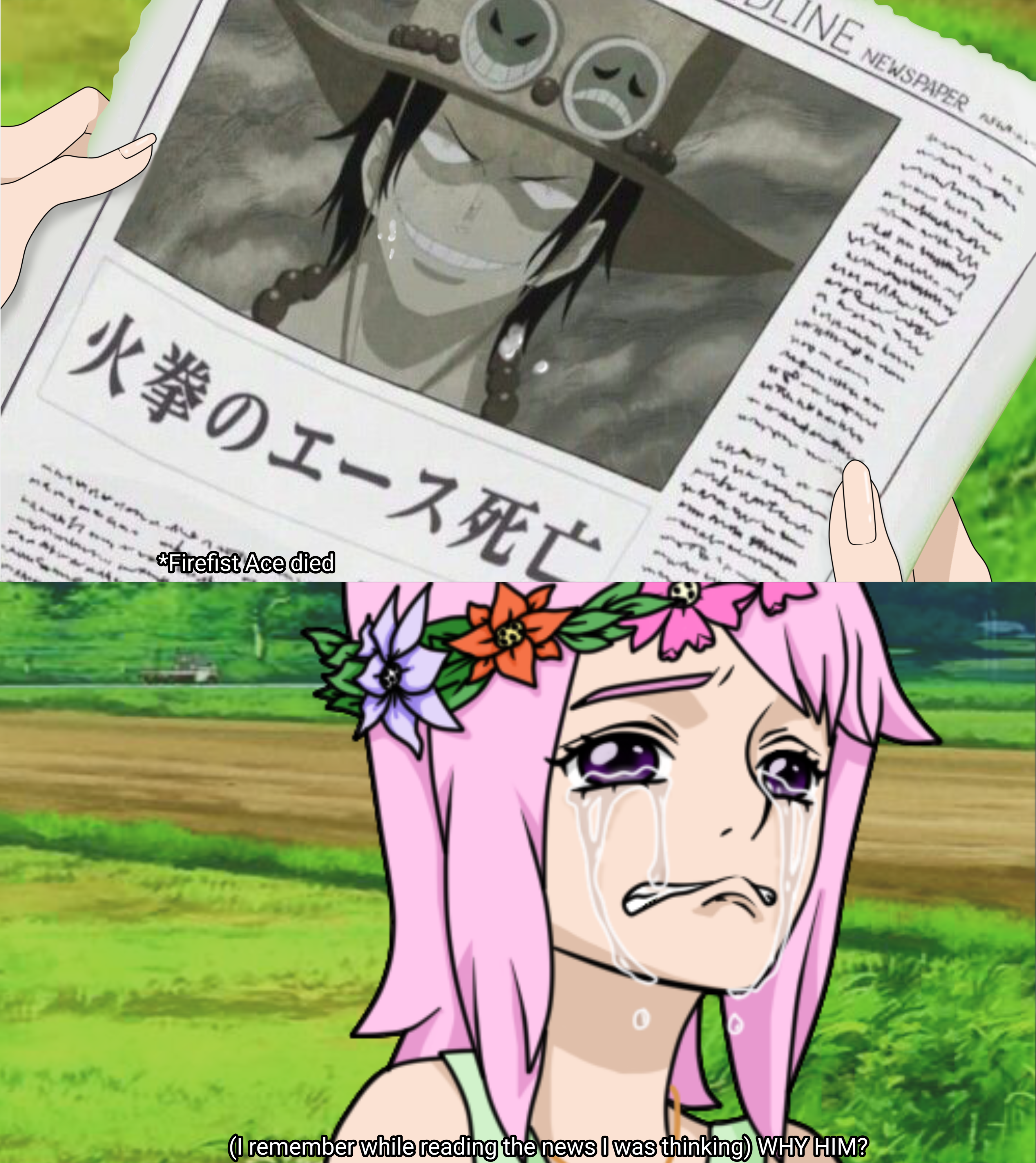 One Piece Oc Hana Mimi By Akayakusaro On Deviantart One Piece Oc Hana Mimi By Akayakusaro On Deviantart