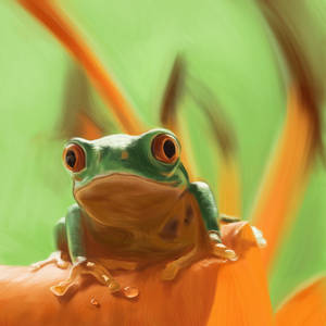 Color Study of a Frog