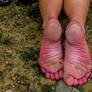 His Feet on Rough Pebbles