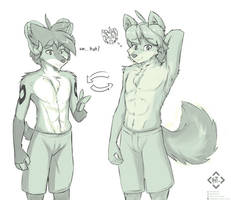 Race swap