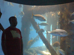 John at the Aquarium
