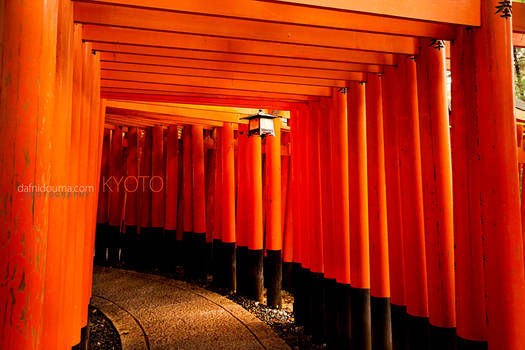 Kyoto Shrines