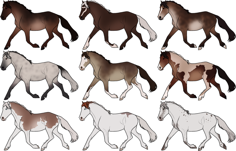 Horse Adoptables 2