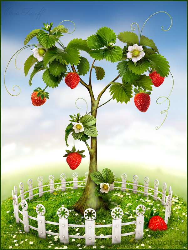 Strawberry tree