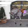 BASE P2U: Quarter Horse (2019)