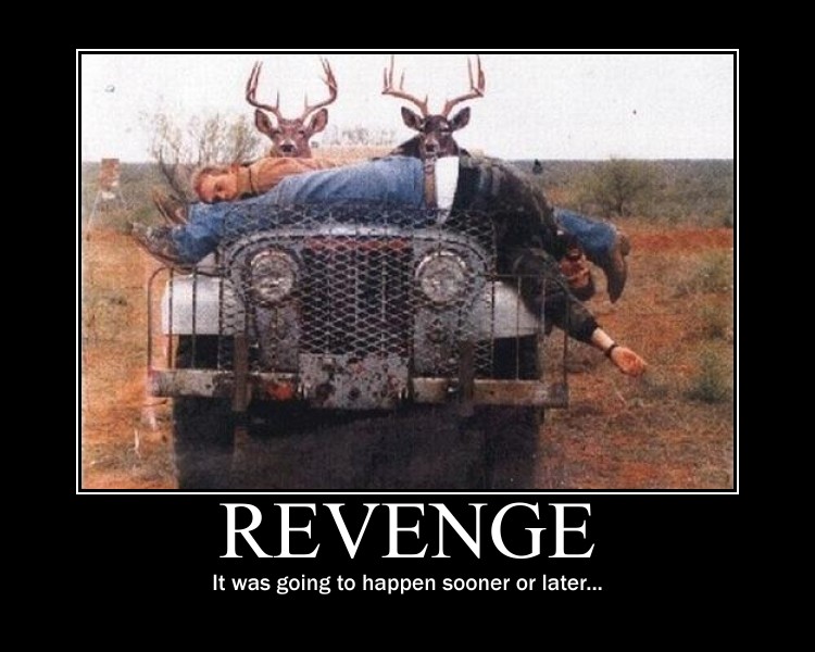 Revenge