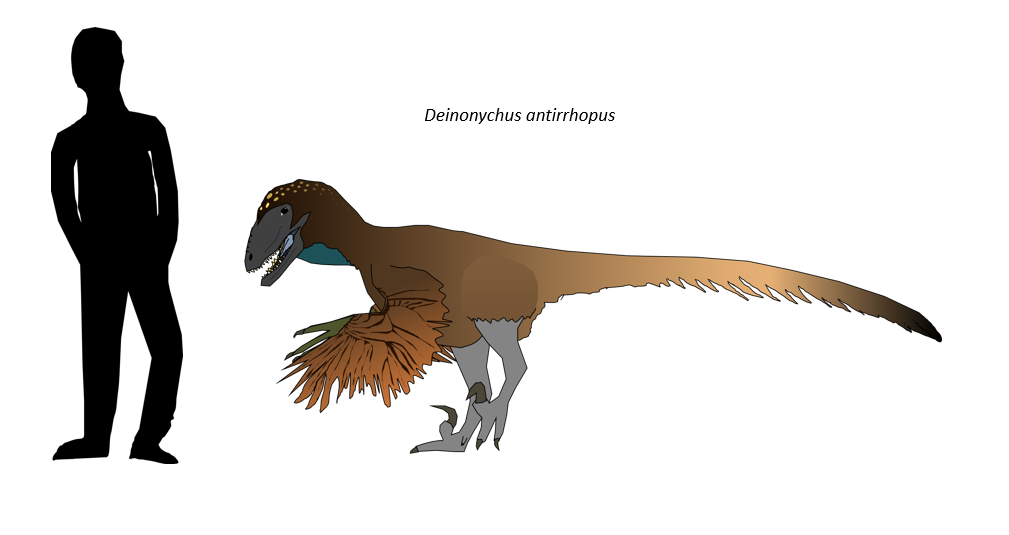 Deinonychus [Ark] by Ozanthium on DeviantArt