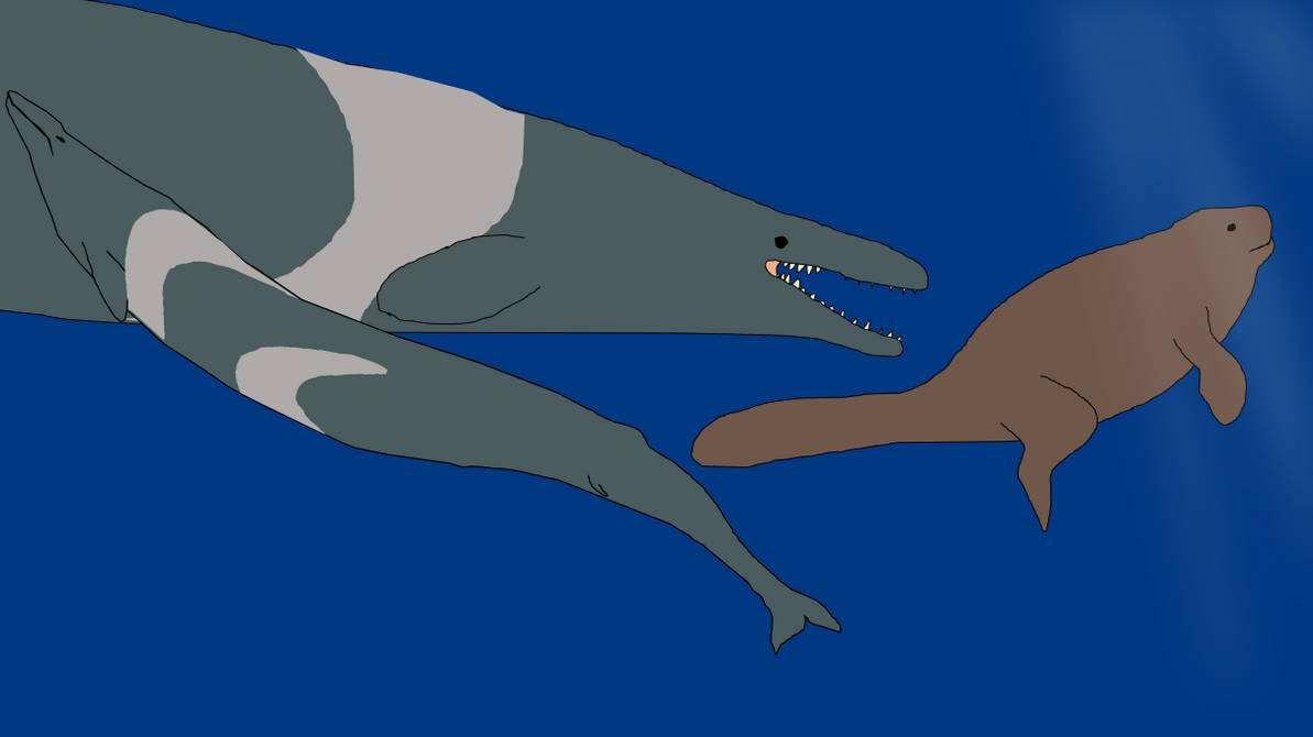 Basilosaurus Deviantart The Life of a Basilosaurus #04 by YellowPanda2001 on DeviantArt