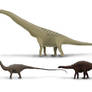 The Bygone Park: Huincul Formation Sauropods