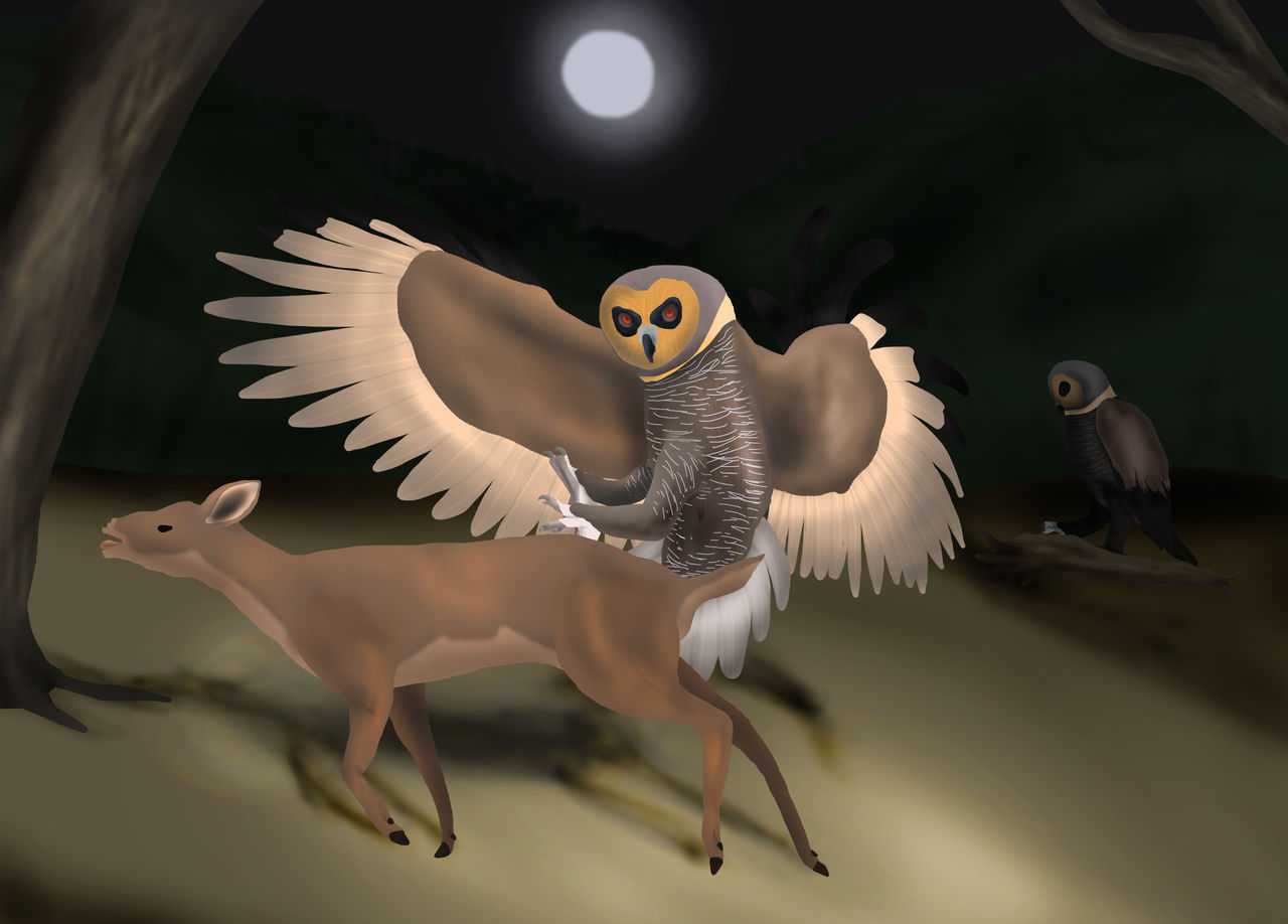 Commission: Simp.Landscape (Det.) - Giant wood owl by YellowPanda2001 ...