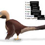 Random Dinosaur Hybrid