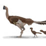Colored Drawing (Detailed) - Oviraptorid Family