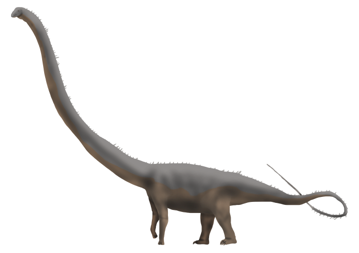 Barosaurus lentus by YellowPanda2001 on DeviantArt
