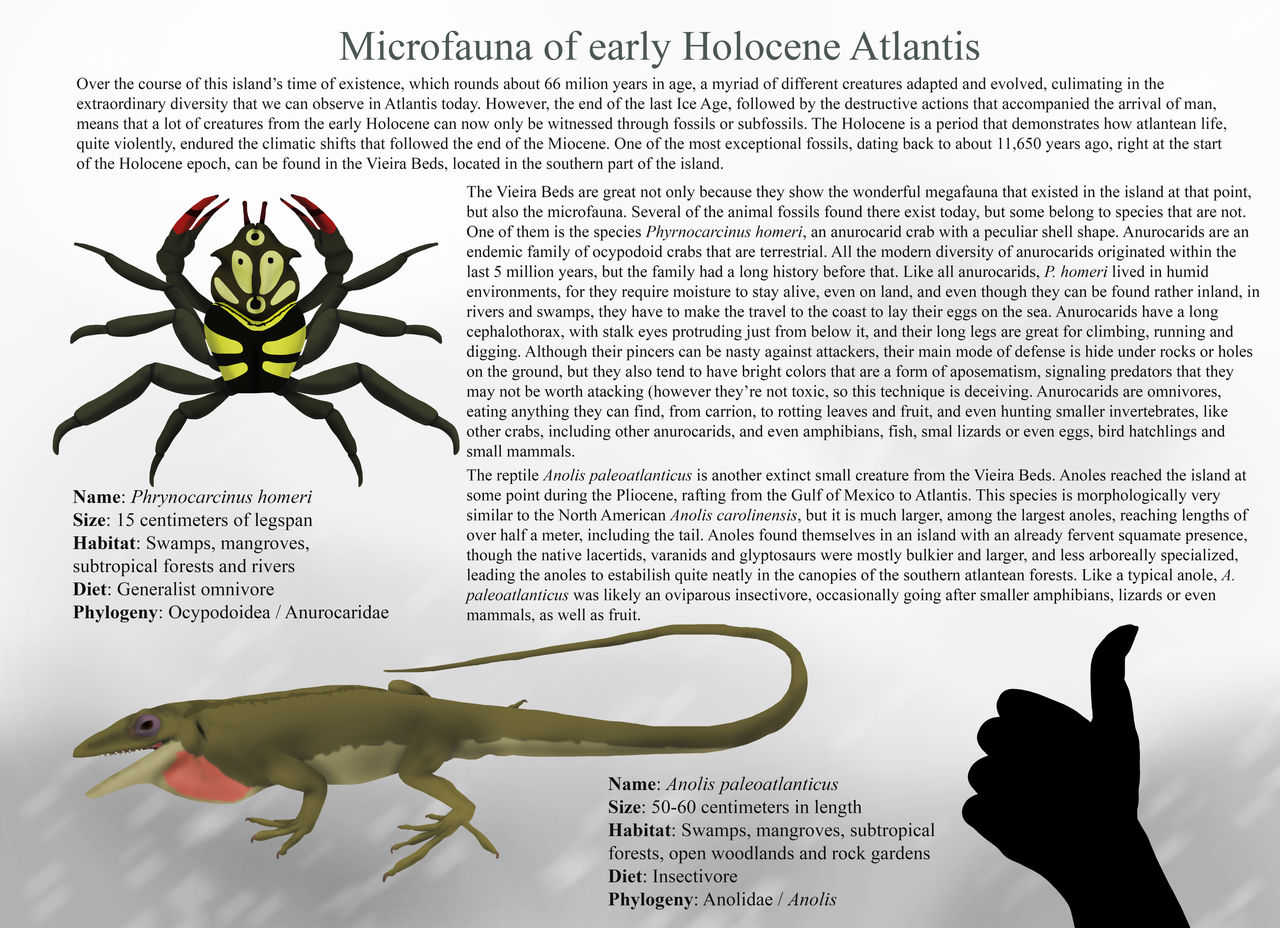 Microfauna Drawing Holocene Atlantis - Microfauna by YellowPanda2001 on DeviantArt