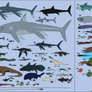The Life of a Temnodontosaurus Creatures
