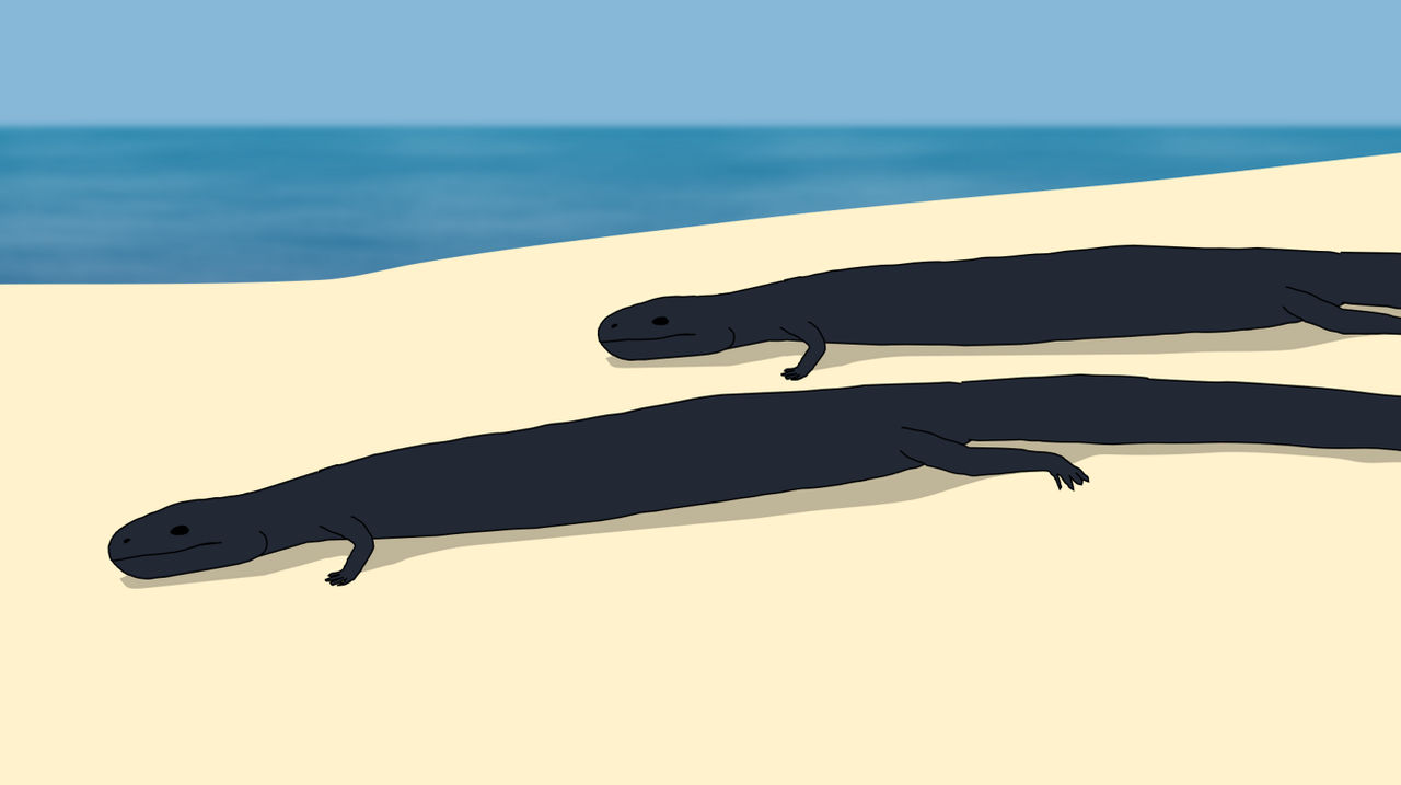 The Life of a Palaeopleurosaurus by YellowPanda2001 on DeviantArt