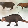 Potamolambdids 3