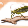 Alternate Evolution TRIASSIC - Grenade Formation