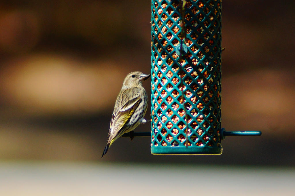 Just grabbing a seed