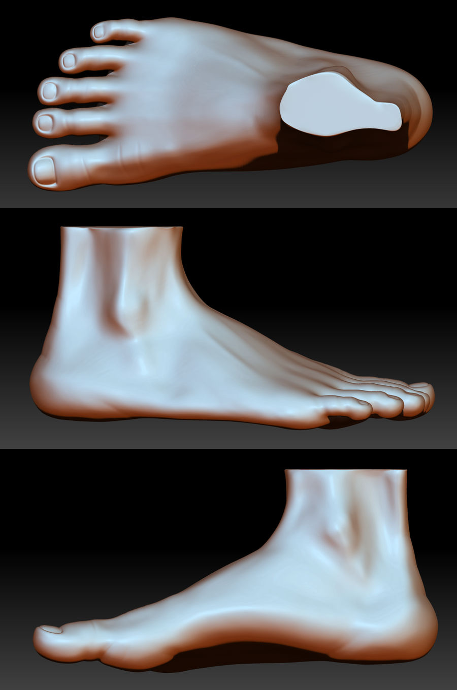 Foot Study