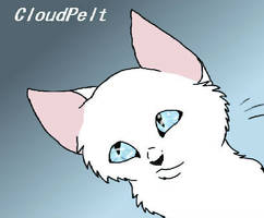 Cloudpelt