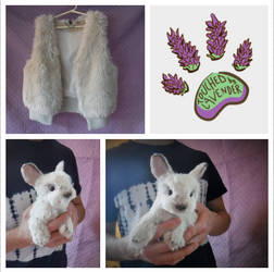 TBL RECYCLED CLOTHING bunny rabbit
